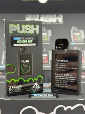 Push 2G Disposable With Screen