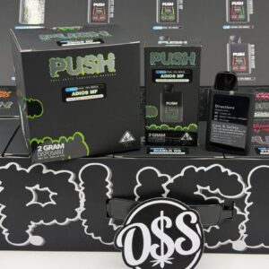 Push 2G Disposable With Screen