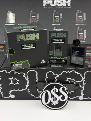 Push 2G Disposable With Screen