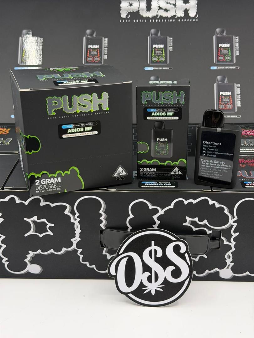 Push 2G Disposable With Screen Push 2G Disposable With Screen
