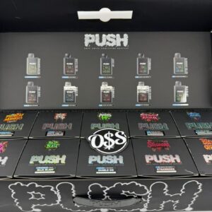 Push 2G Disposable With Screen
